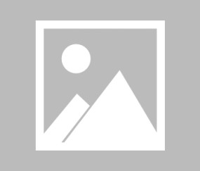 开云赛事集团-蒂姆，十场得分风暴席卷，雄鹿极限挑战之路，蒂姆十场狂飙席卷，雄鹿极限征程开启